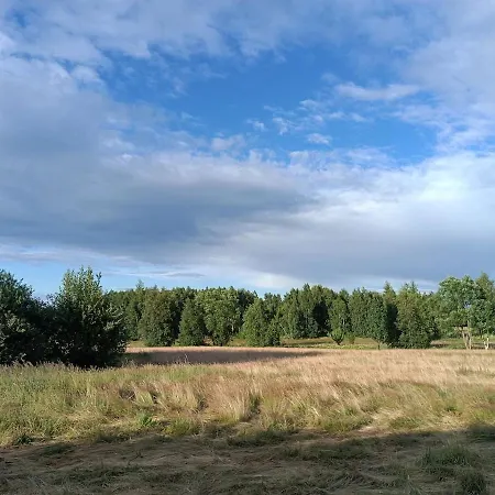 Charming Tiny House In The Meadow *