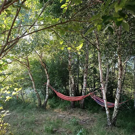 Charming Tiny House In The Meadow Casa de Férias
