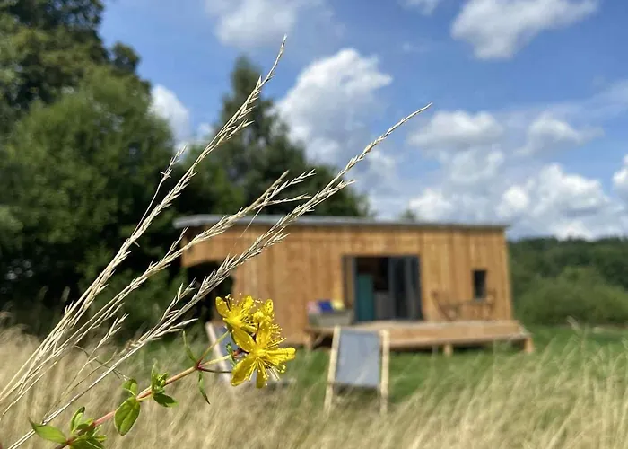Charming Tiny House In The Meadow Świeradów-Zdrój